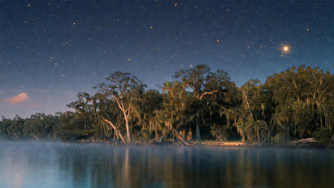 Live oaks and Spanish moss along a still Florida riverbank under a star-filled night sky.